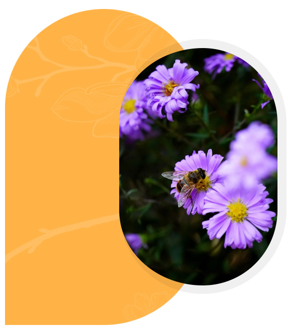 Fleuriste proche de Rohrbach-lès-Bitche